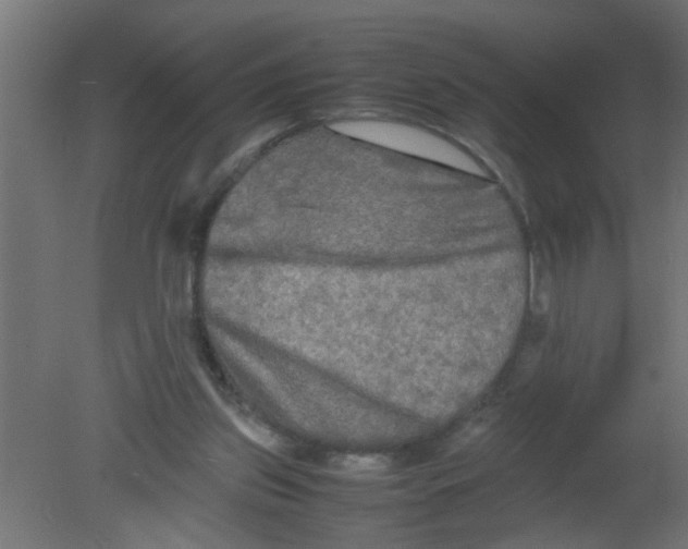 X0000080800157200701122224