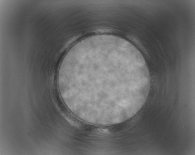 X0000080800159200701122224