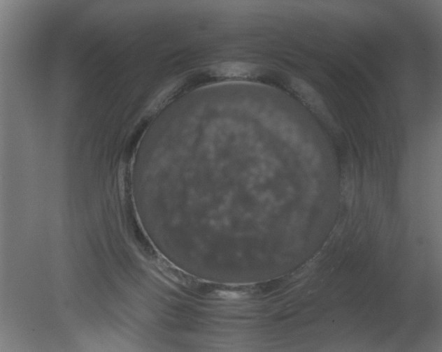 X0000080800167200701122224