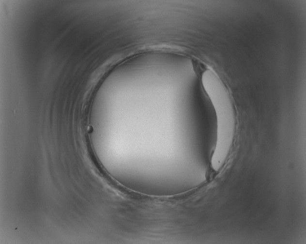 X0000080800193200701122223