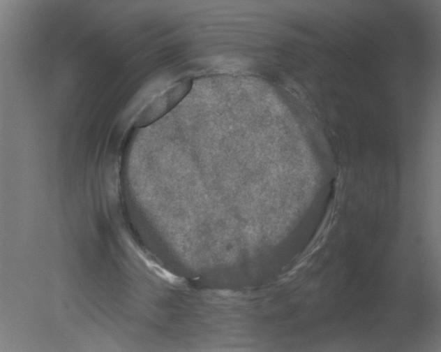 X0000080800194200701122223