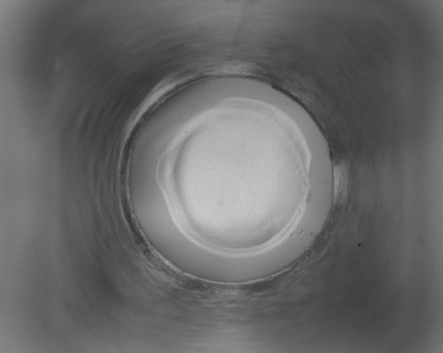 X0000080800195200701122223