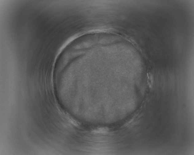 X0000080800196200701122223