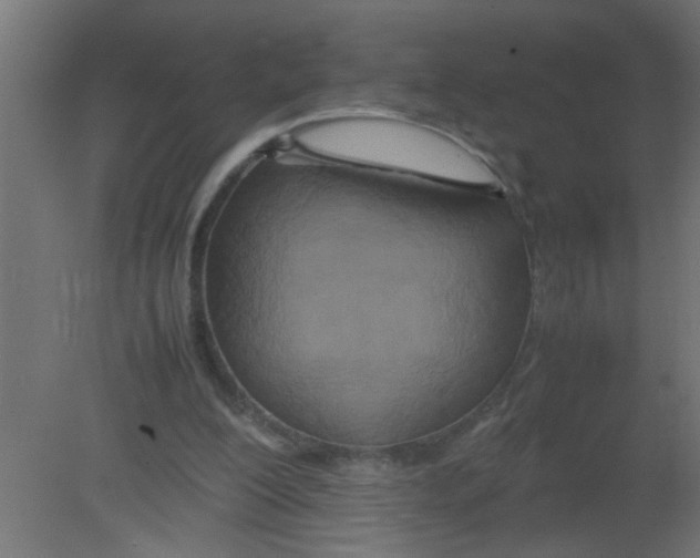 X0000080800200200701122223