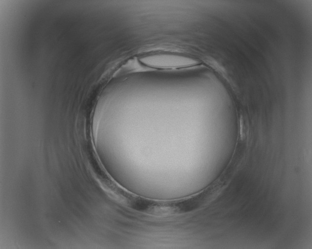X0000080800205200701122223