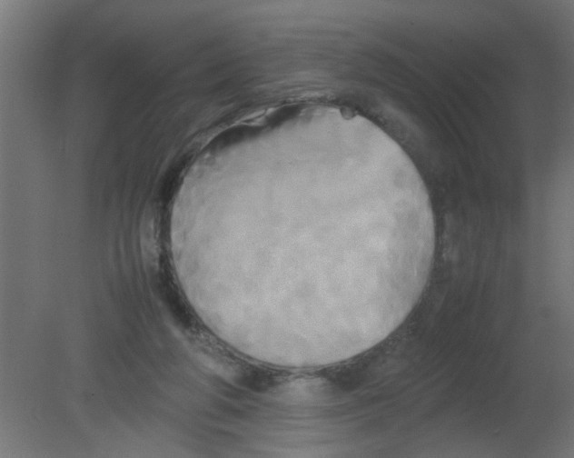 X0000080800210200701122223