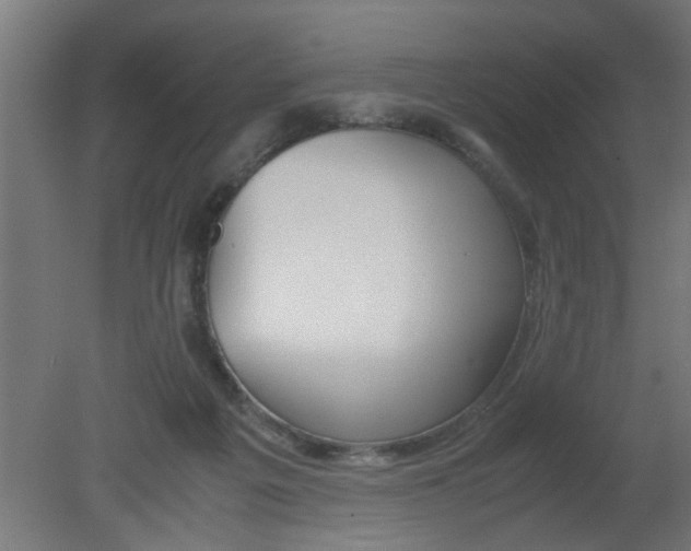 X0000080800217200701122223