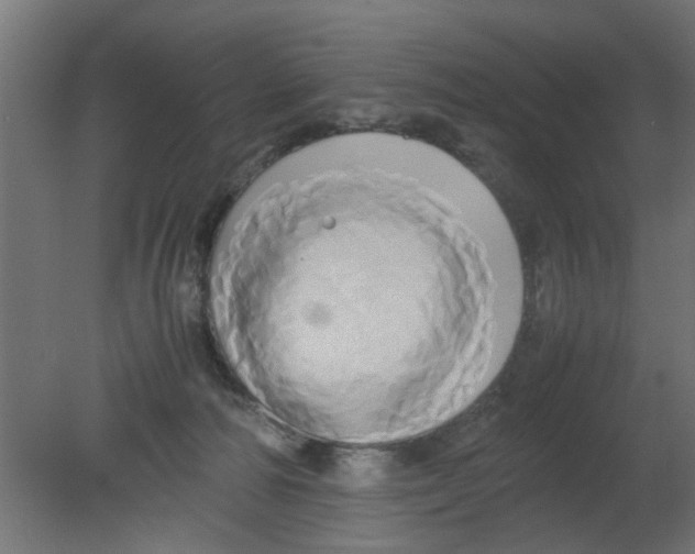 X0000080800226200701122223
