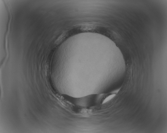 X0000080800227200701122223