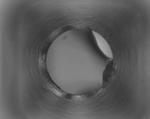 X0000080800239200701122223