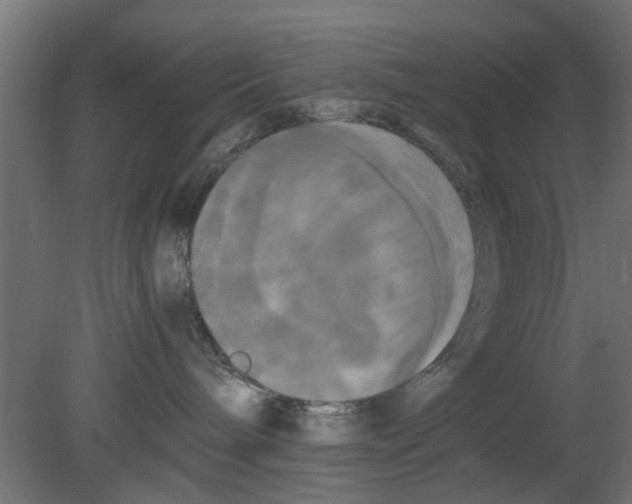 X0000080800240200701122223