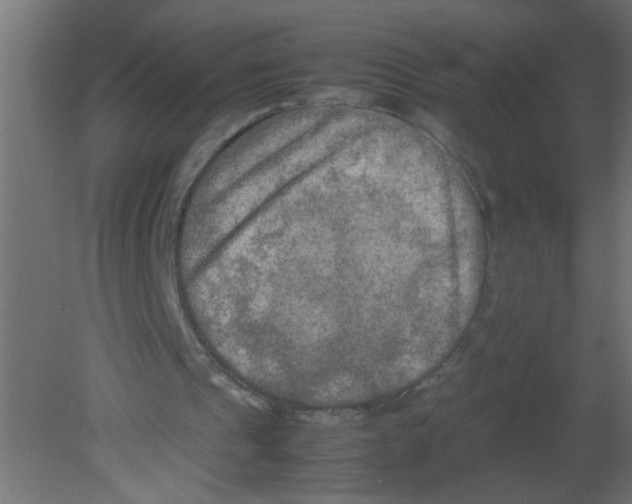 X0000080800241200701122222