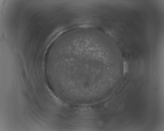 X0000080800243200701122222