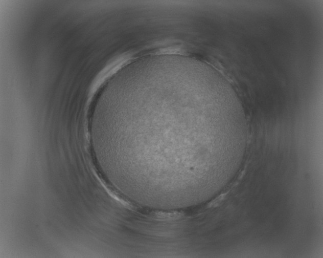 X0000080800245200701122222