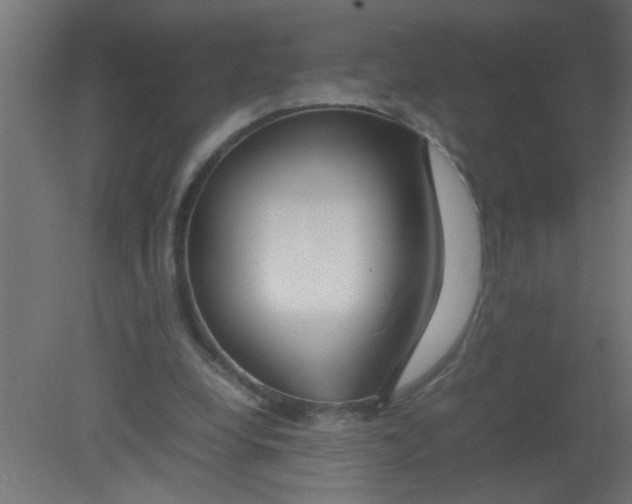 X0000080800248200701122222