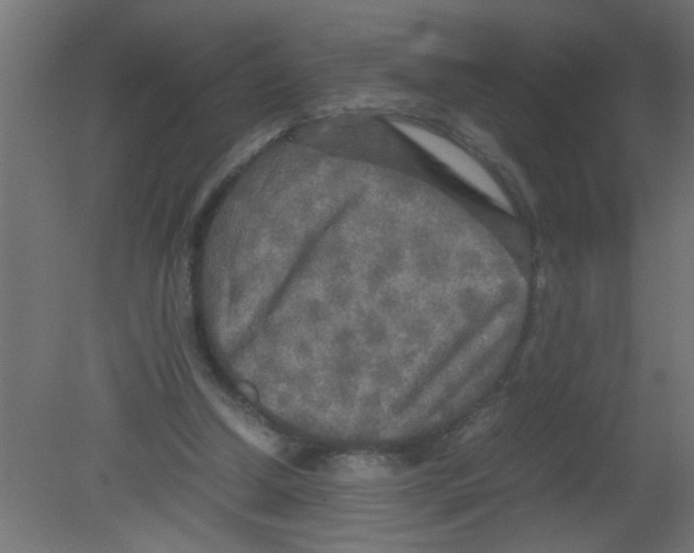 X0000080800250200701122222
