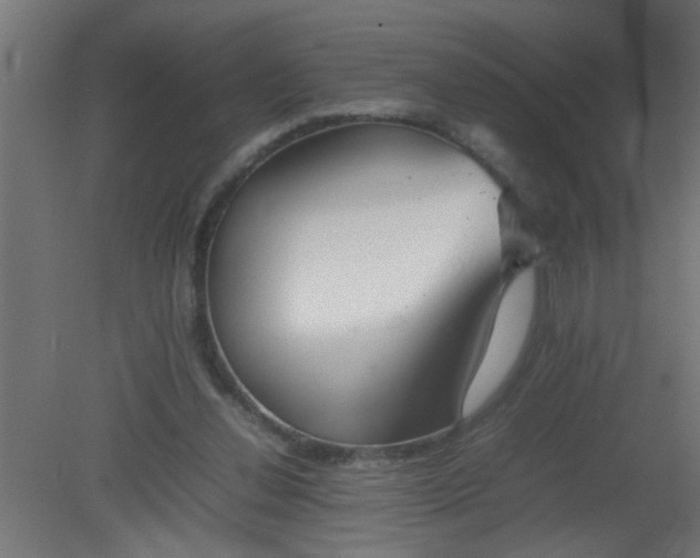 X0000080800252200701122222