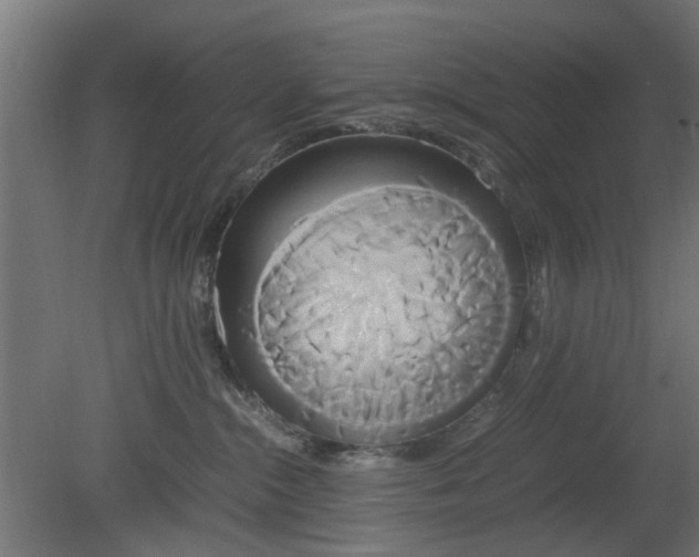 X0000080800284200701122223
