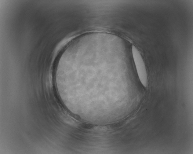 X0000080800294200701122222