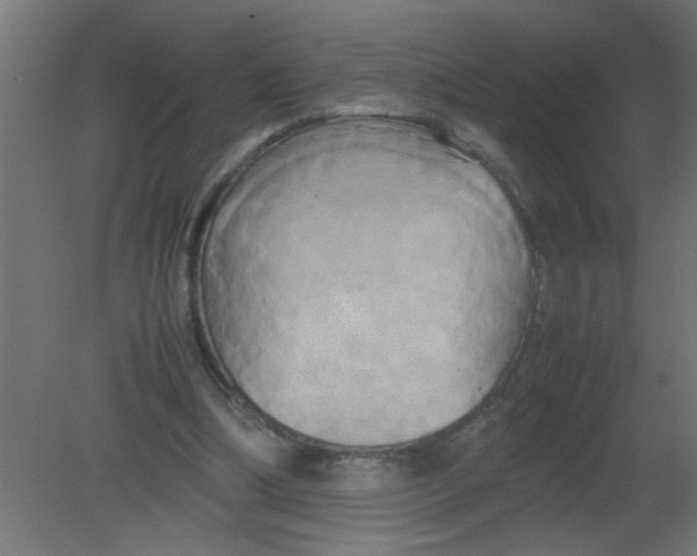 X0000080800298200701122222