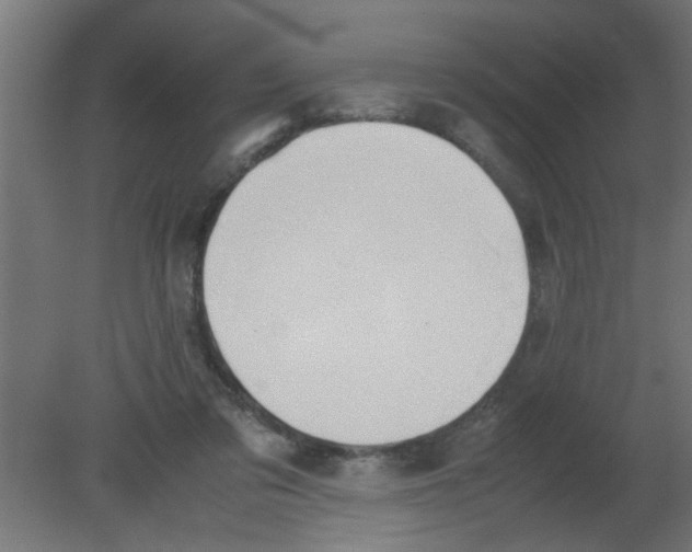 X0000080800309200701122221