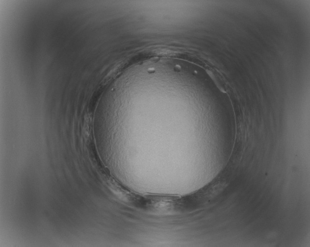X0000080800325200701122221