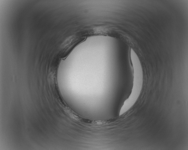 X0000080800329200701122221
