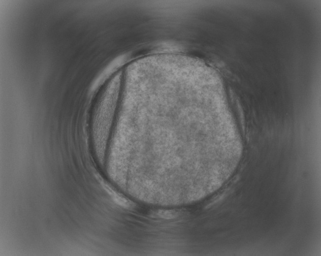 X0000080800341200701122220