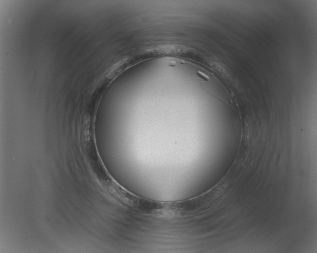 X0000080800356200701122220