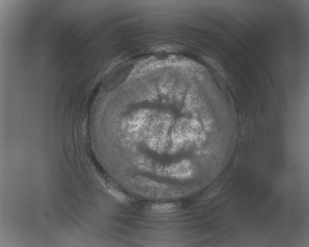 X0000080800357200701122220