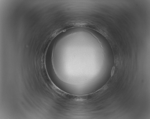 X0000080800360200701122221