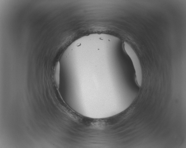 X0000080800362200701122221