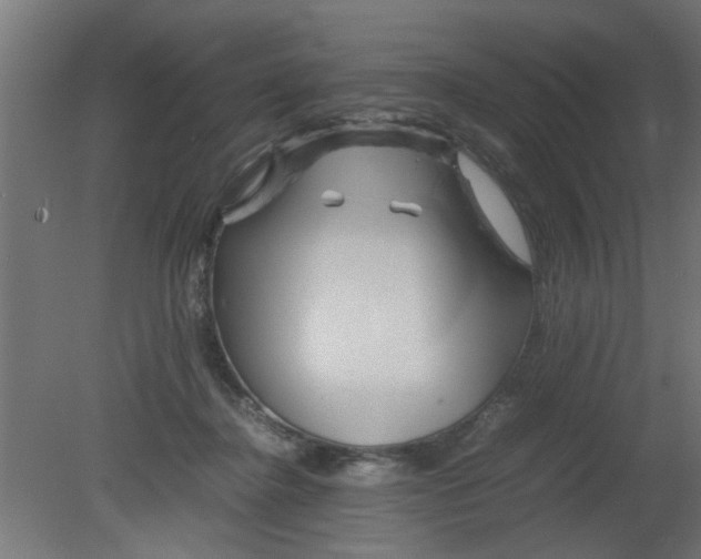 X0000080800364200701122221