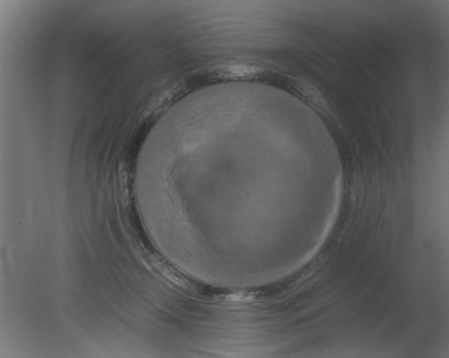 X0000080800366200701122221