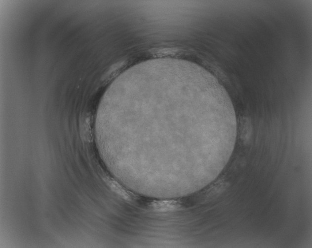 X0000080800378200701122221