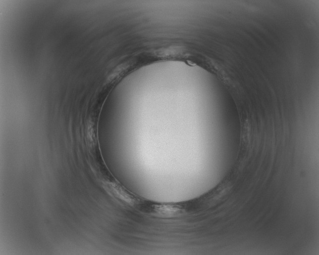X0000080800380200701122221