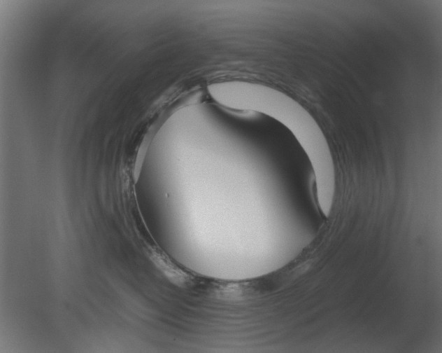 X0000080800382200701122221