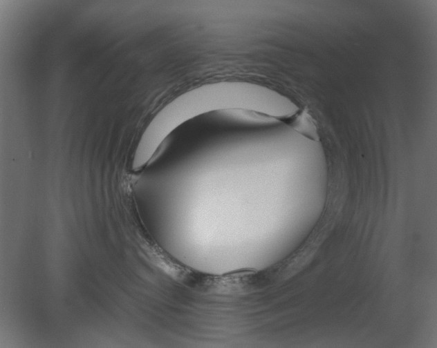 X0000080800384200701122221