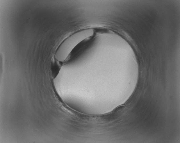 X0000080800385200701122220