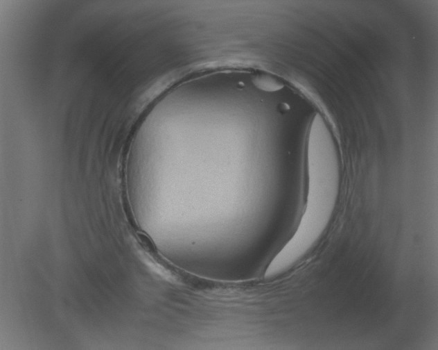 X0000080800389200701122220