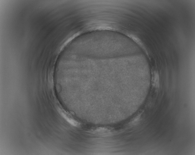 X0000080800390200701122220