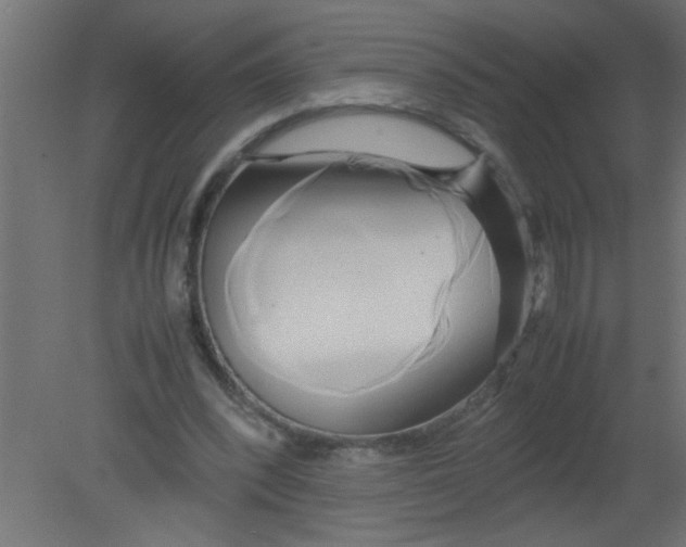 X0000080800392200701122220