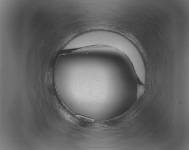 X0000080800393200701122220