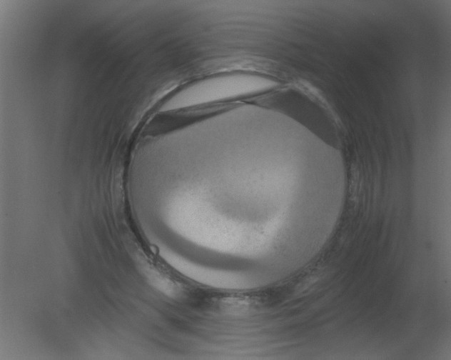 X0000080800394200701122220