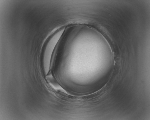 X0000080800395200701122220
