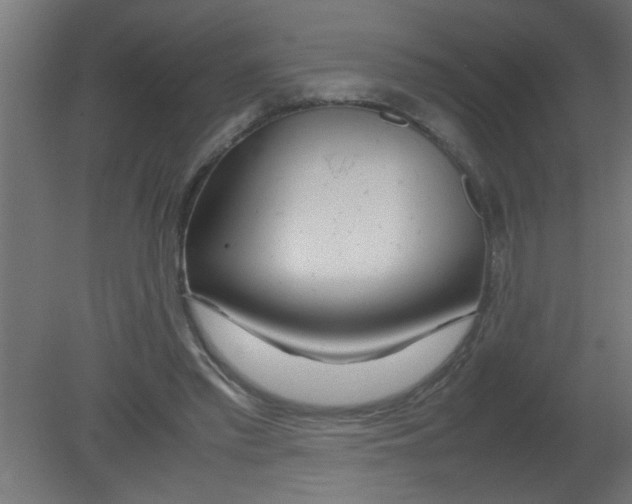 X0000080800397200701122220