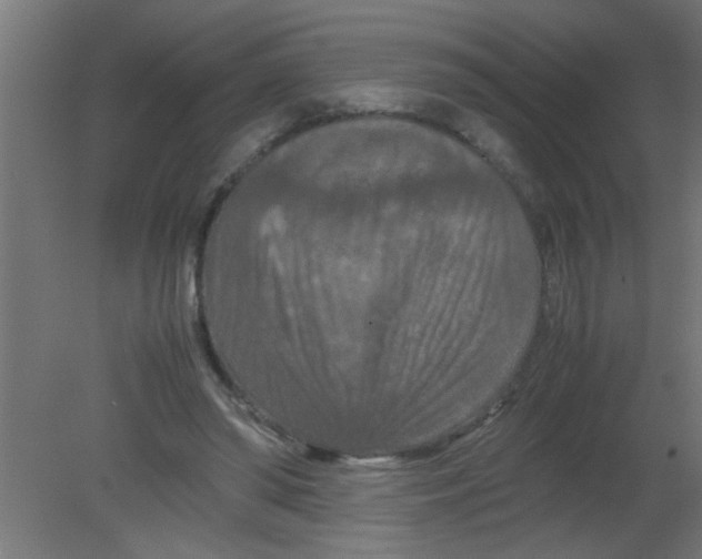 X0000080800398200701122220