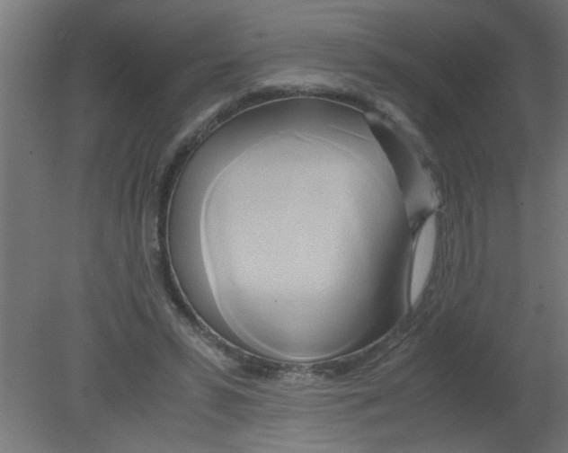 X0000080800399200701122220