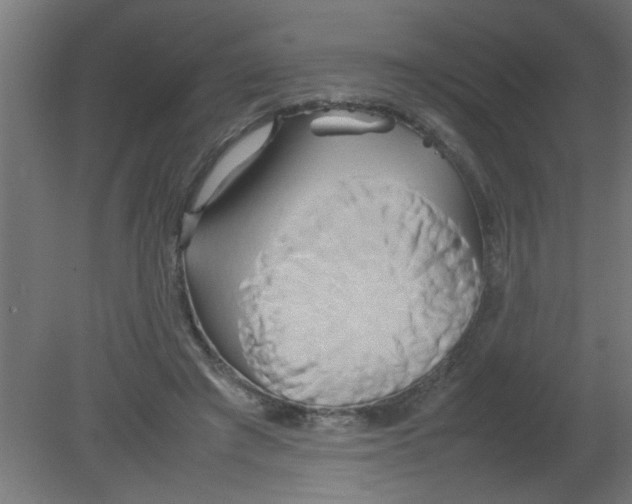 X0000080800401200701122220