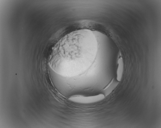 X0000080800413200701122220